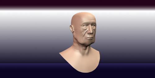Realistic Old Man Head preview image